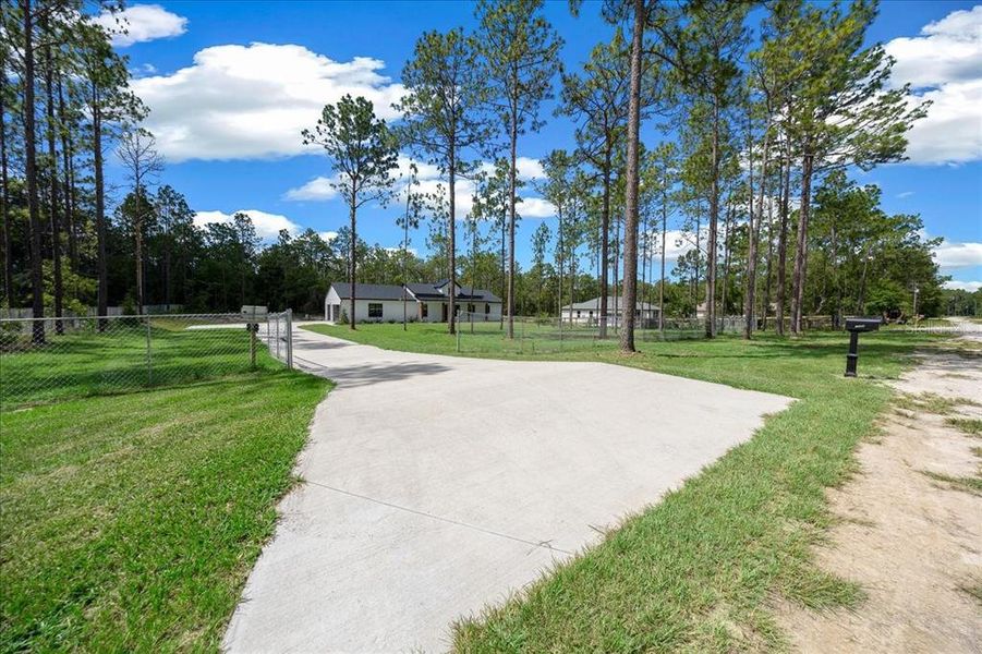 Natural landscape and outdoor views near  in Ocala (Image 29).