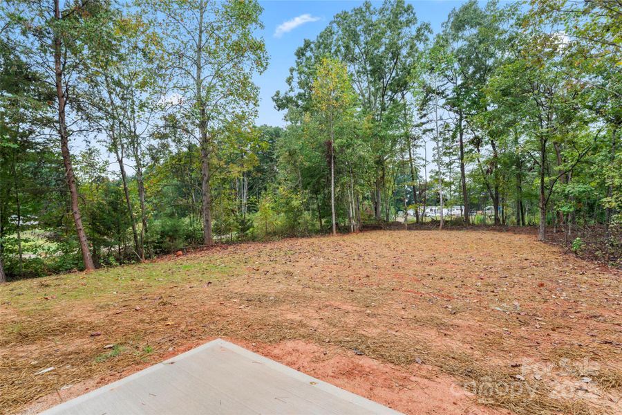 Natural landscape and outdoor views near  in Mooresville (Image 37).