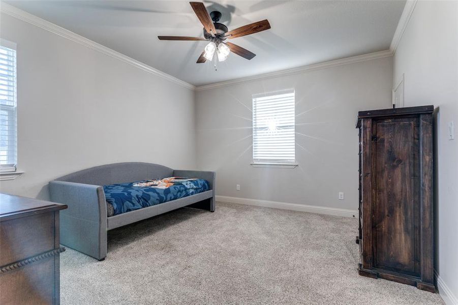Bedroom with ornamental molding, carpet flooring, and a ceiling fan