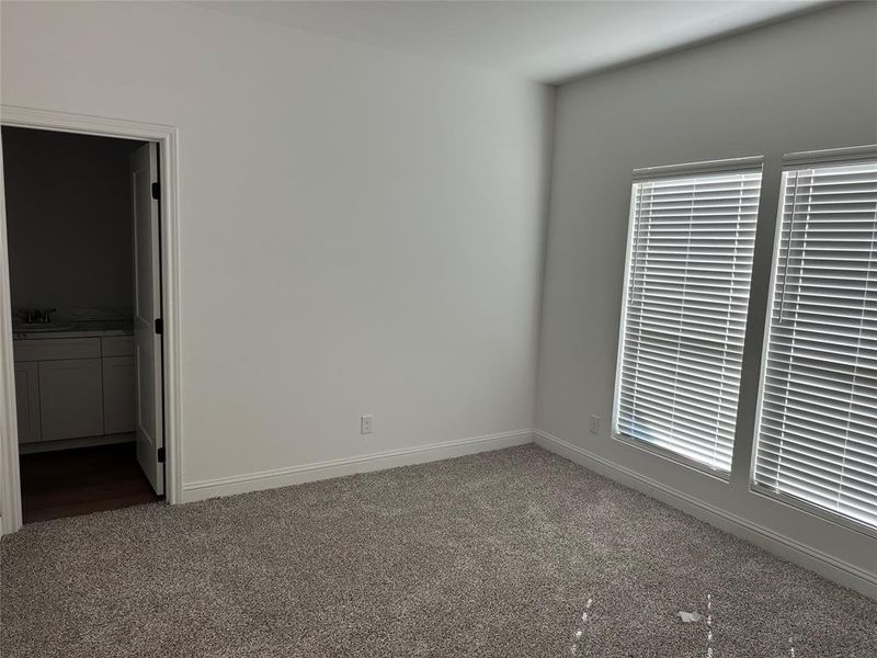 Primary bedroom with baseboards and carpet
