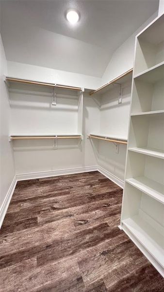 Walk in closet with dark hardwood / wood-style floors