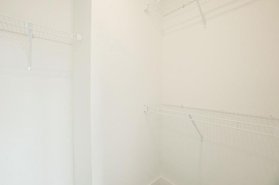 IMG_3126 IMG_3126