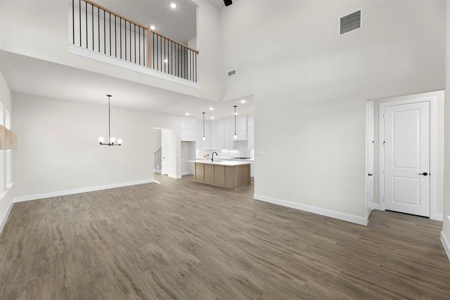 1617 Yorkie - Family (4)