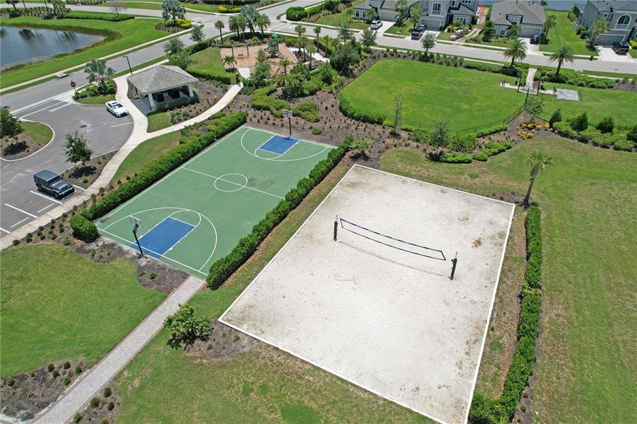 Basketball/Volleyball