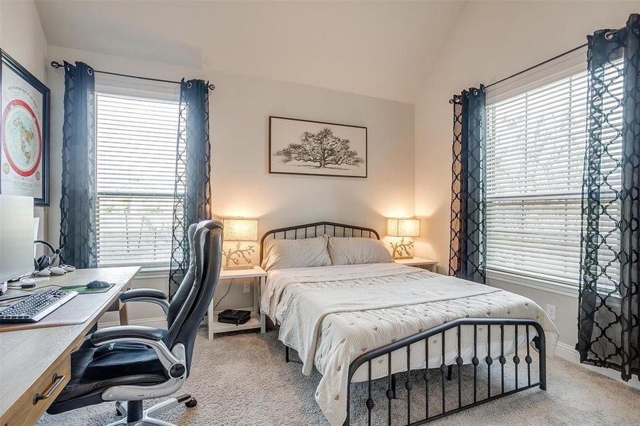 Carpeted bedroom with lofted ceiling