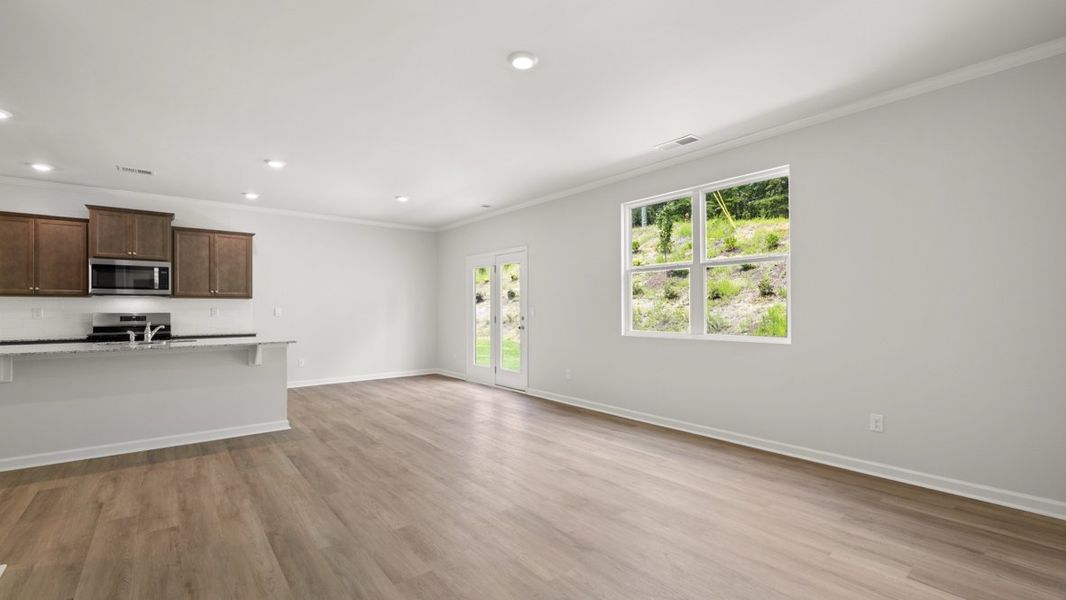 Image 38 representing the Hayden by D.R. Horton in Northwoods at Mirror Lake, Villa Rica, GA.