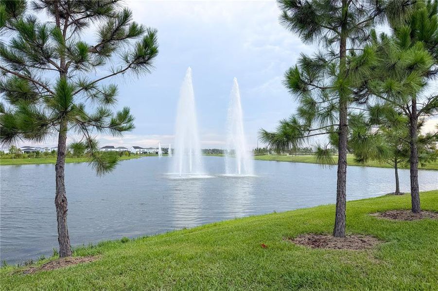 Natural landscape and outdoor views near EverBe in Orlando (Image 47).