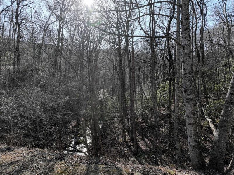 Image 37 of a home in .