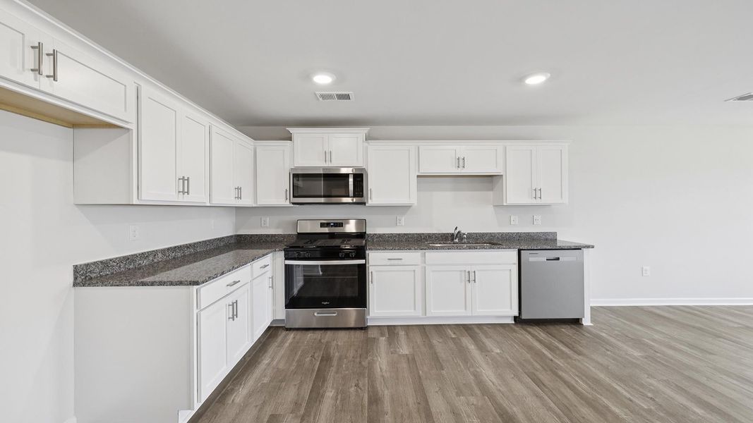 Furnished interior view inside a new home in Gibson Grove, Laurens (Image 5).