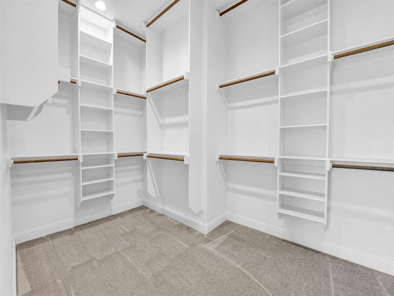 Spacious closet with carpet Spacious closet with carpet
