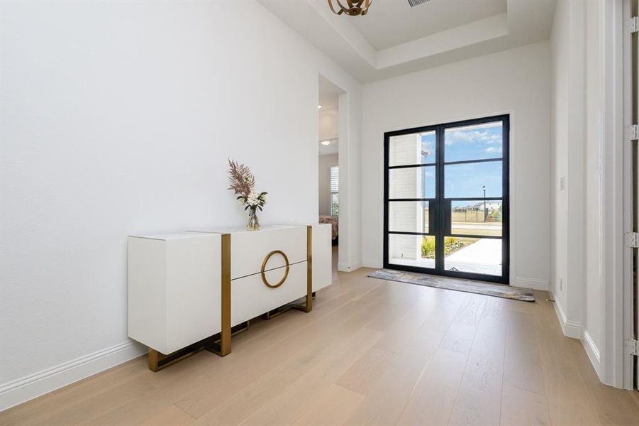Doorway featuring wood finished floors, plenty of natural light, and a raised ceiling