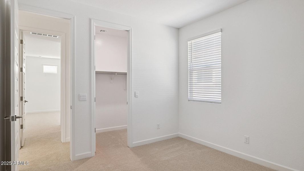 3985_Phoenician_Lot 2081_Aloravita_Peori 3985_Phoenician_Lot 2081_Aloravita_Peori