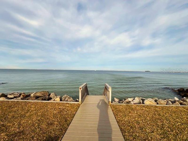 View of Tampa Bay from Pool