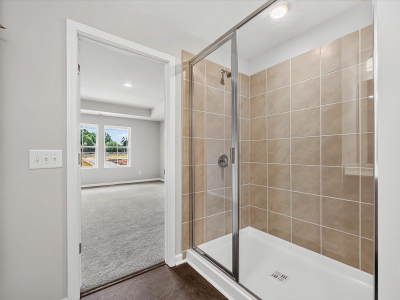 Owner's Bath