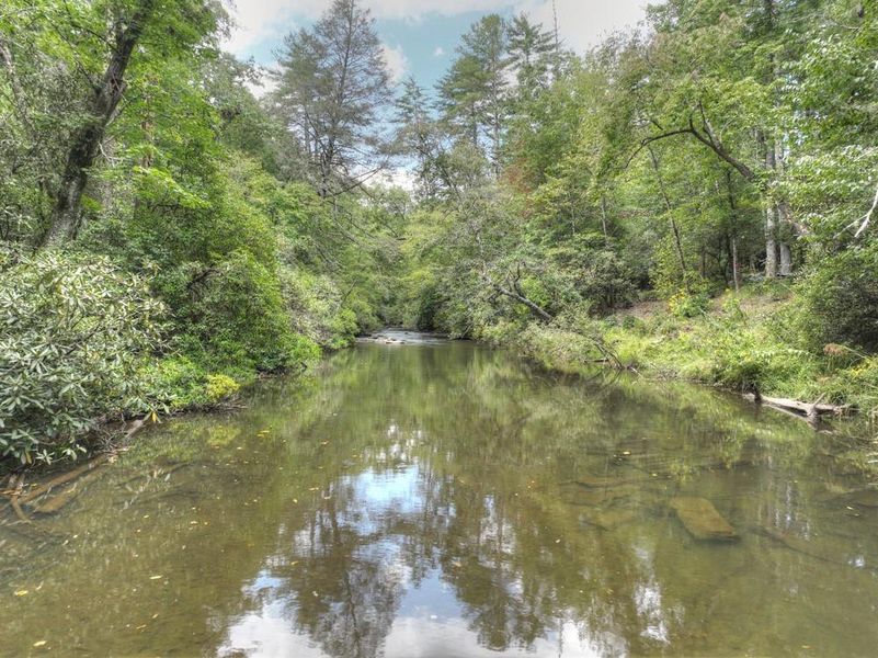 Natural landscape and outdoor views near  in Cherry Log (Image 48).