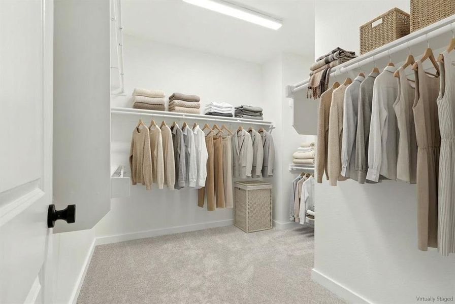 2020 Aldrich Mews primary closet Catalpa