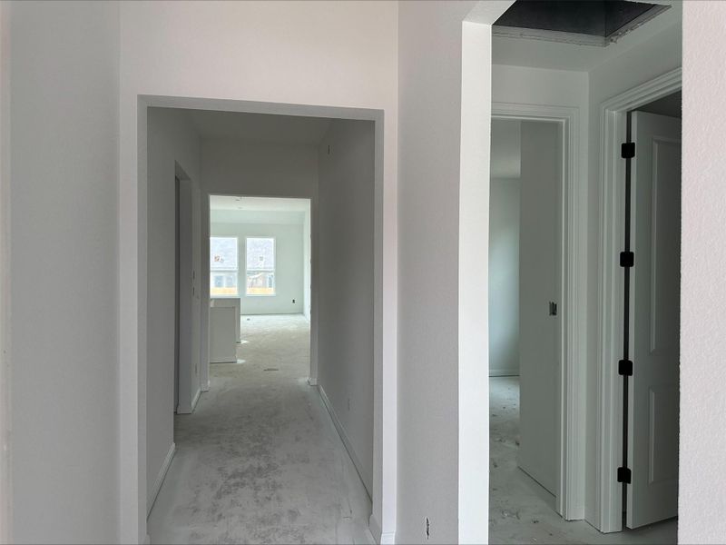 220 Wingstem Way ~ Under Construction