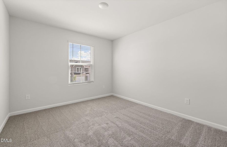 starling (21)