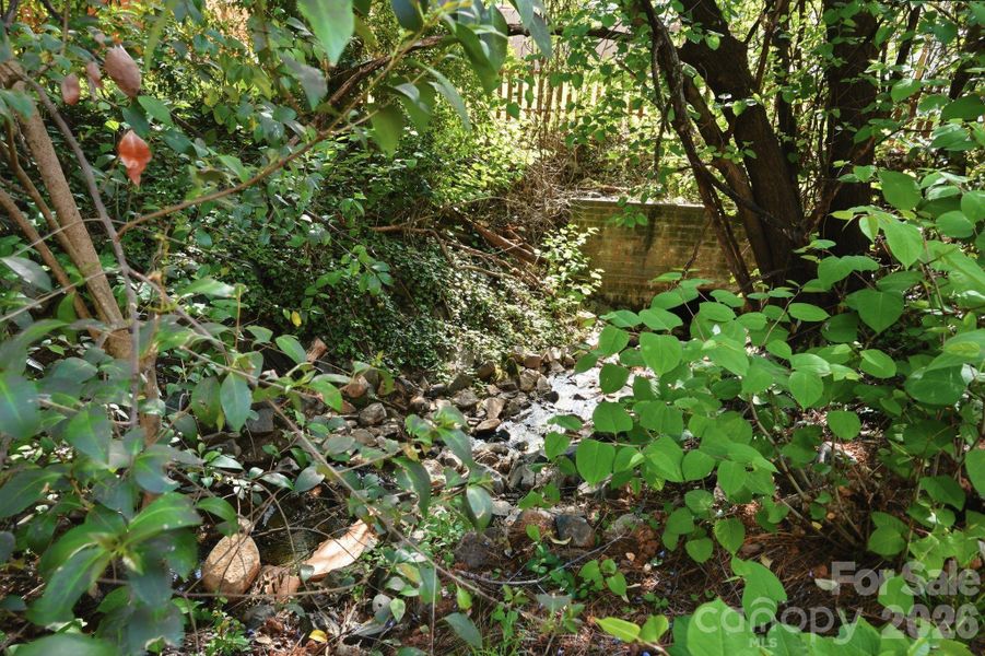Natural landscape and outdoor views near  in Charlotte (Image 32).