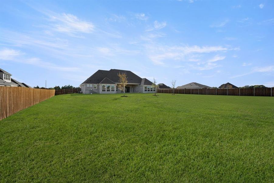 141 Hollinsworth- Back-1 141 Hollinsworth- Back-1