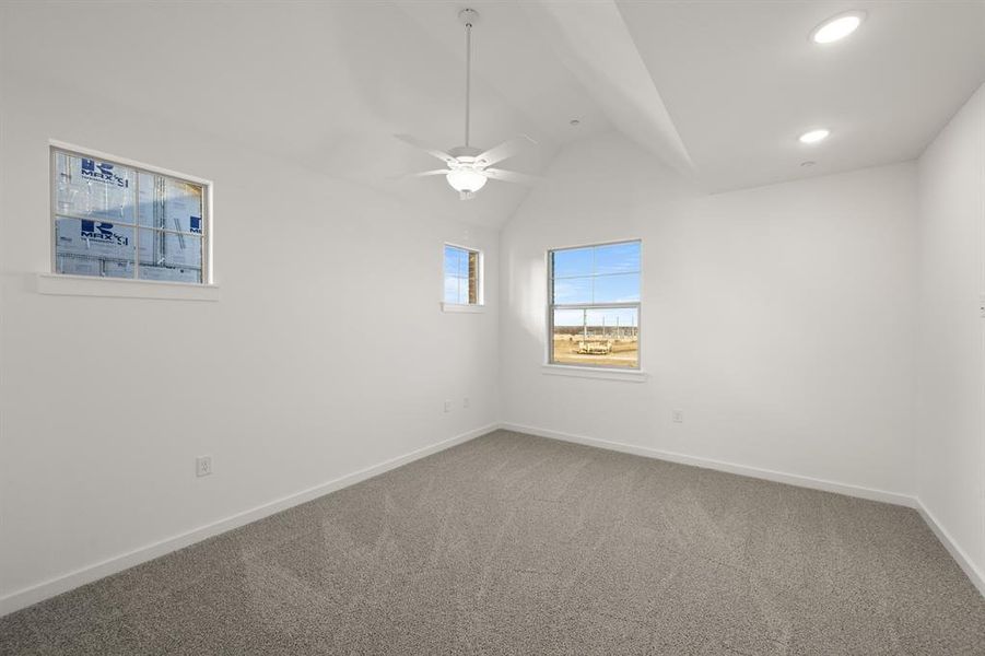 4619 Haws Trail_ 2572_Onyx- Primary Suite]-1