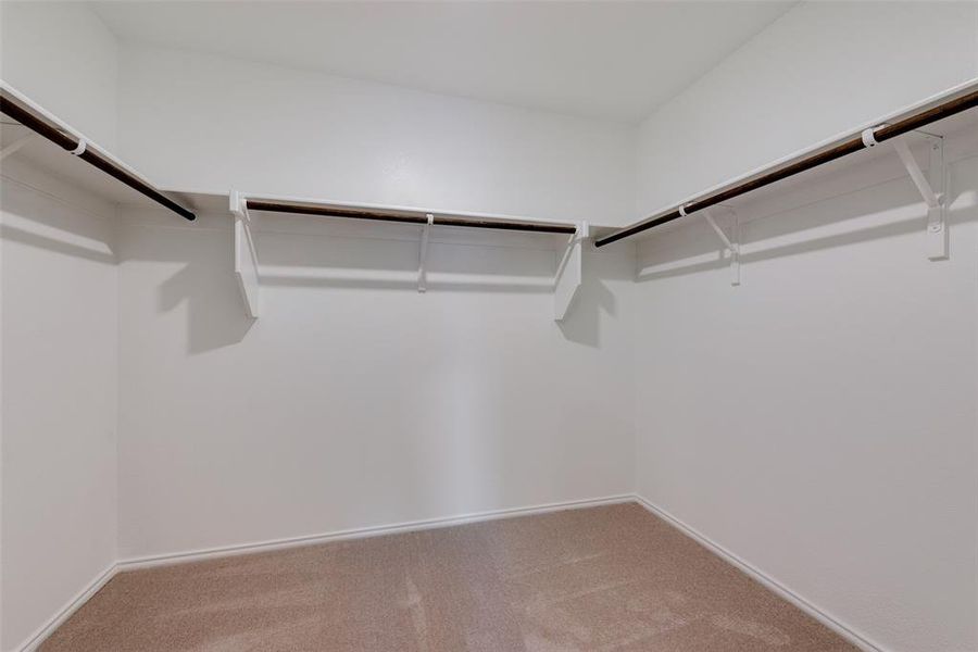 Spacious closet featuring carpet