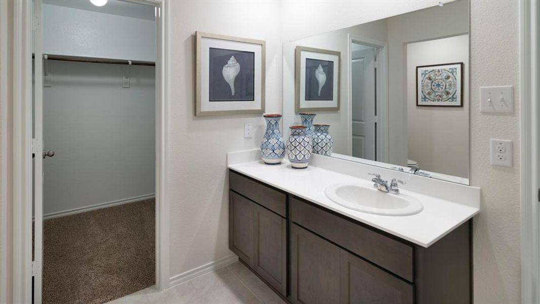 Bathroom featuring vanity, a walk in closet, and light colored carpet
