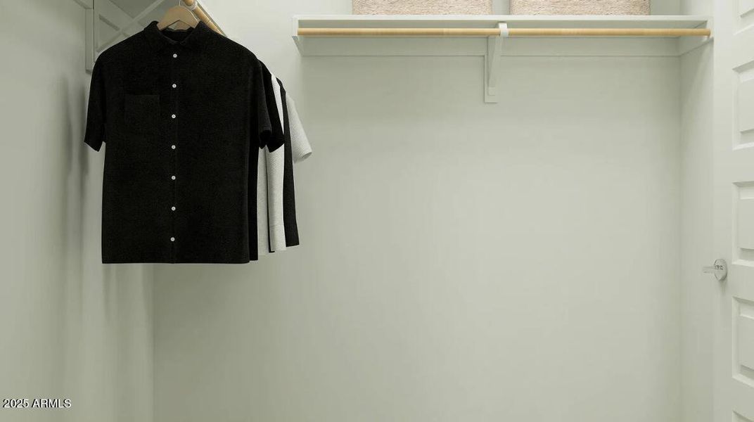 Owners Walk in Closet