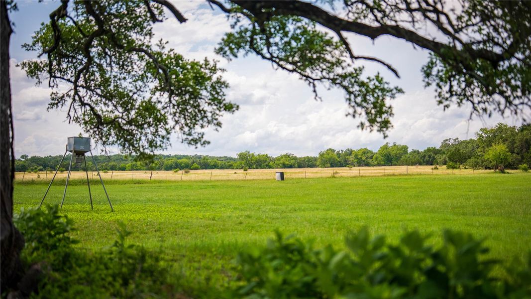 Natural landscape and outdoor views near  in San Marcos (Image 32).