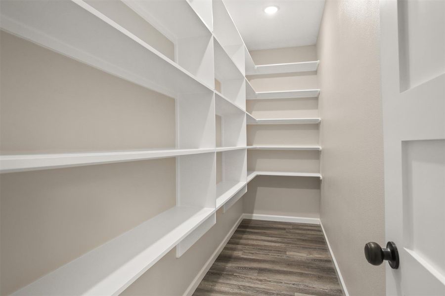 Huge walk-in pantry