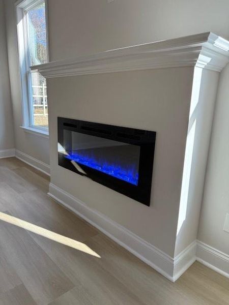 Close-up of interior finishes inside a home in Cooper's Walk, Loganville (Image 8).
