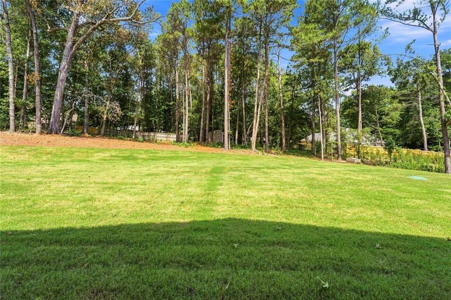 Natural landscape and outdoor views near  in Loganville (Image 77).