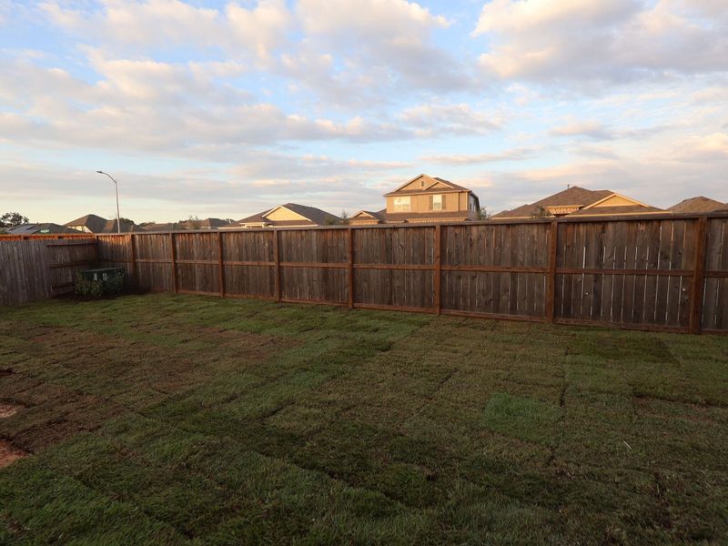 Backyard Backyard