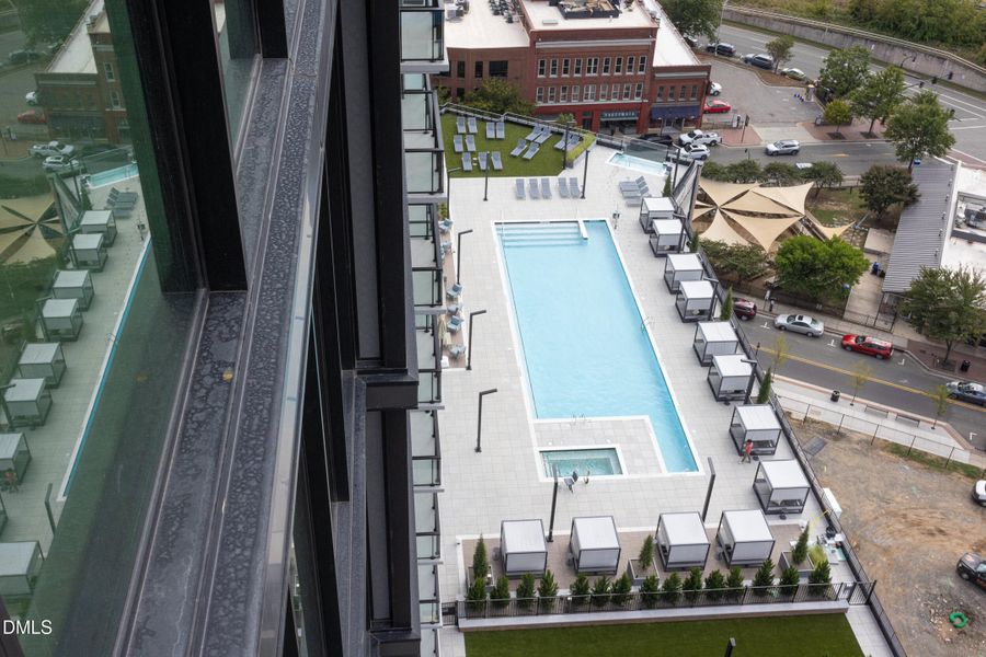 Novus_2_MLS-29 Novus_2_MLS-29