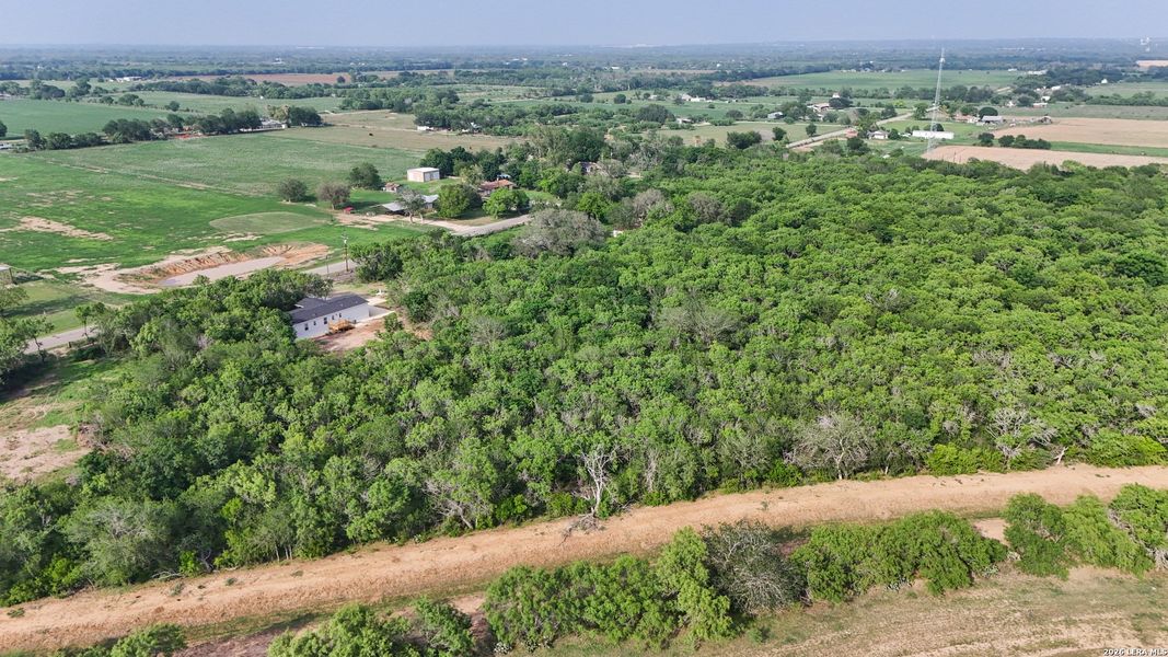 Natural landscape and outdoor views near  in Devine (Image 18).