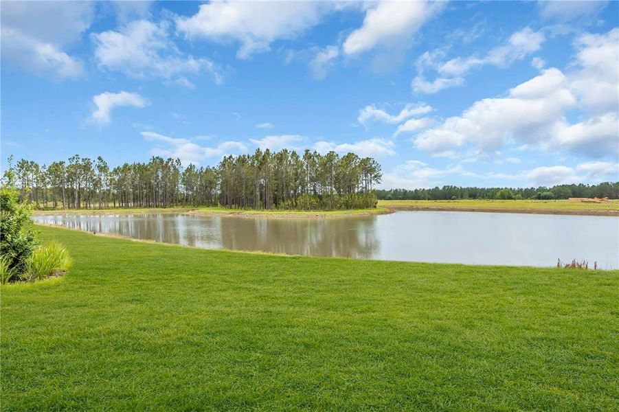 Exterior details and patio area of a home in Tamarack at Two Rivers, Zephyrhills (Image 4). Exterior details and patio area of a home in Tamarack at Two Rivers, Zephyrhills (Image 4).