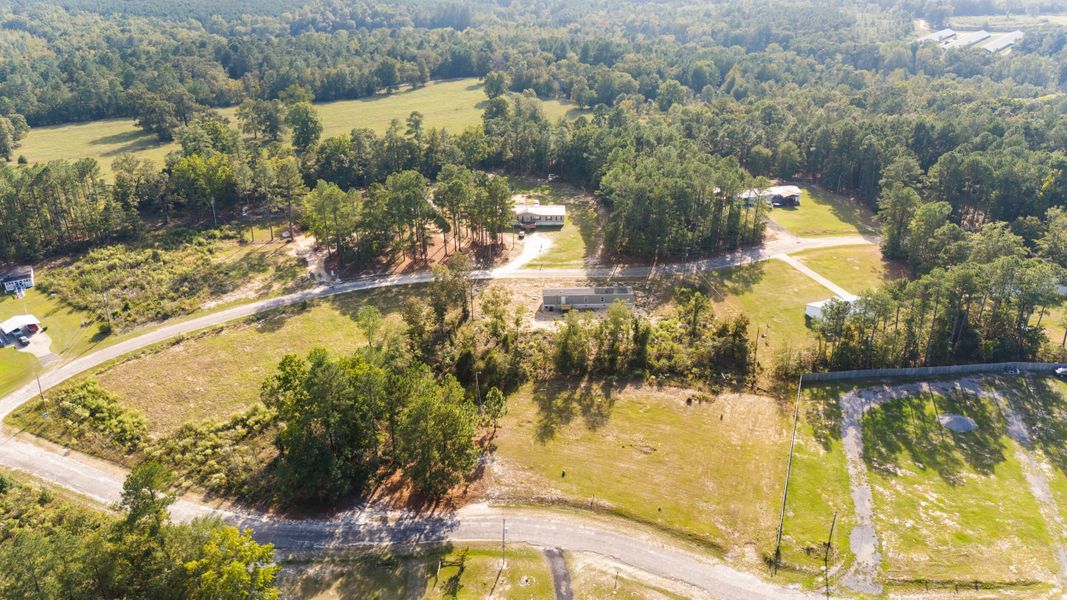 Natural landscape and outdoor views near  in St. Matthews (Image 28).