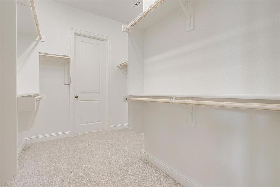 Spacious closet featuring light carpet