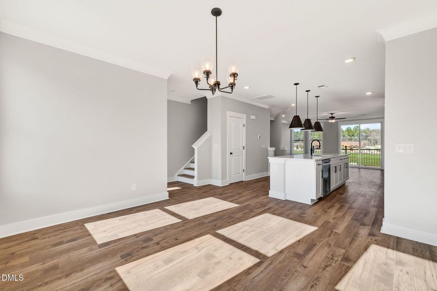 27-web-or-mls-DSC08610