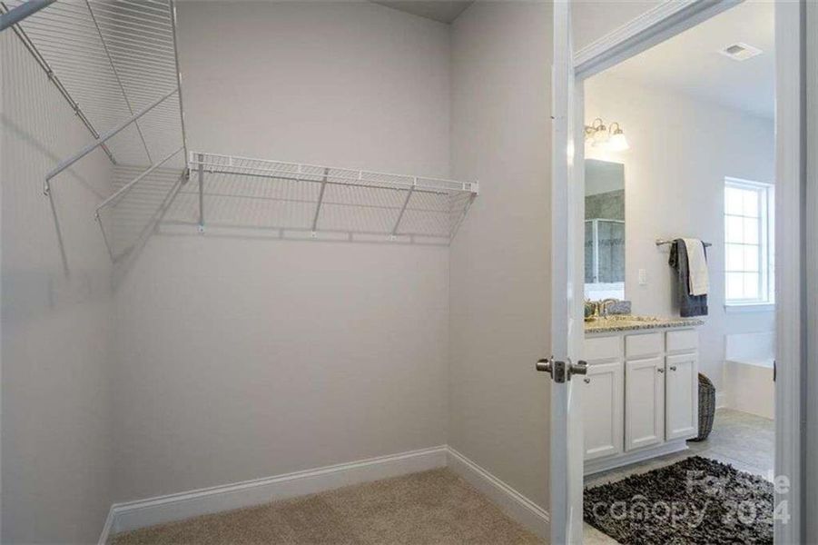 Spacious, unfurnished interior of a new home in Park Place, Bowdon (Image 15).