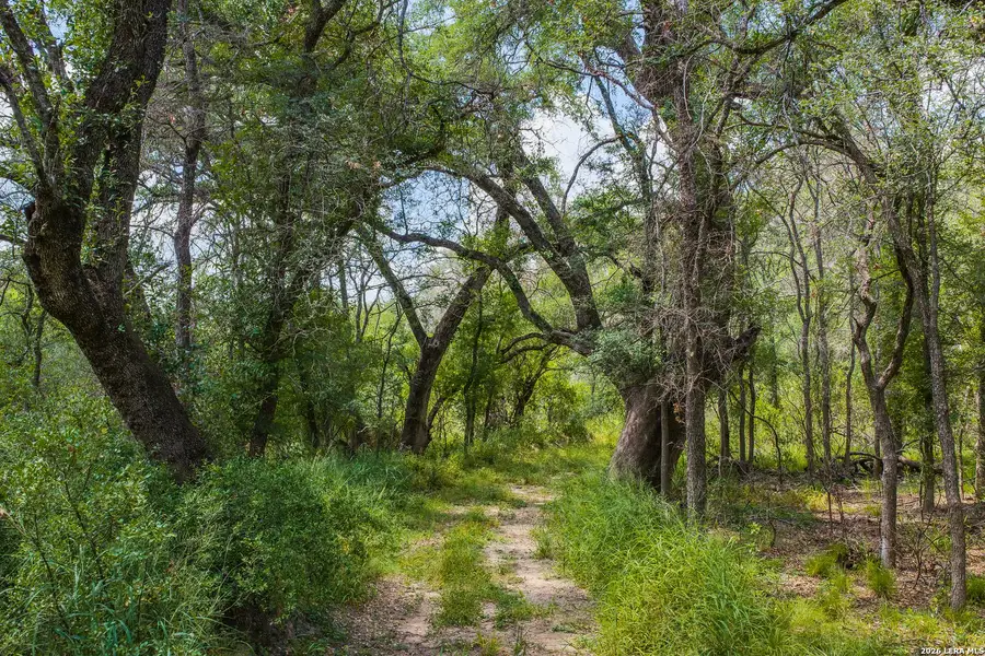 Natural landscape and outdoor views near in Crystal City (Image 11). Natural landscape and outdoor views near in Crystal City (Image 11).