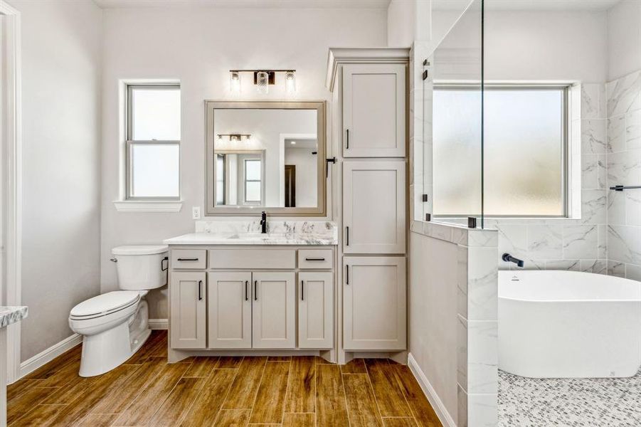 Bathroom with plenty of natural light, toilet, a bathtub, and vanity