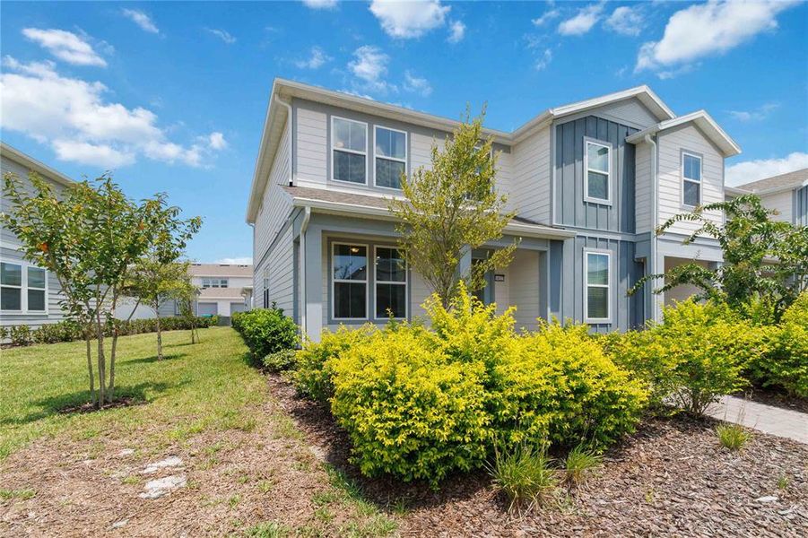 Front View-cornet lot