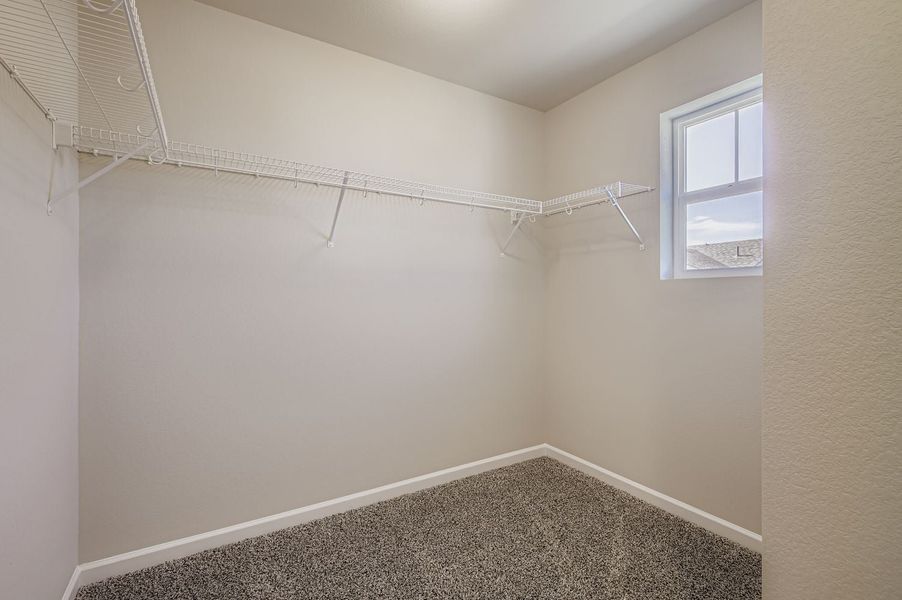 New Home in Fort Collins, CO. - Slide 19 New Home in Fort Collins, CO. - Slide 19