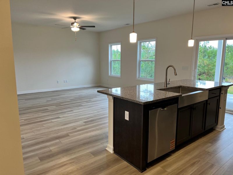 Furnished interior view inside a new home in Blythewood Farms, Blythewood (Image 3).