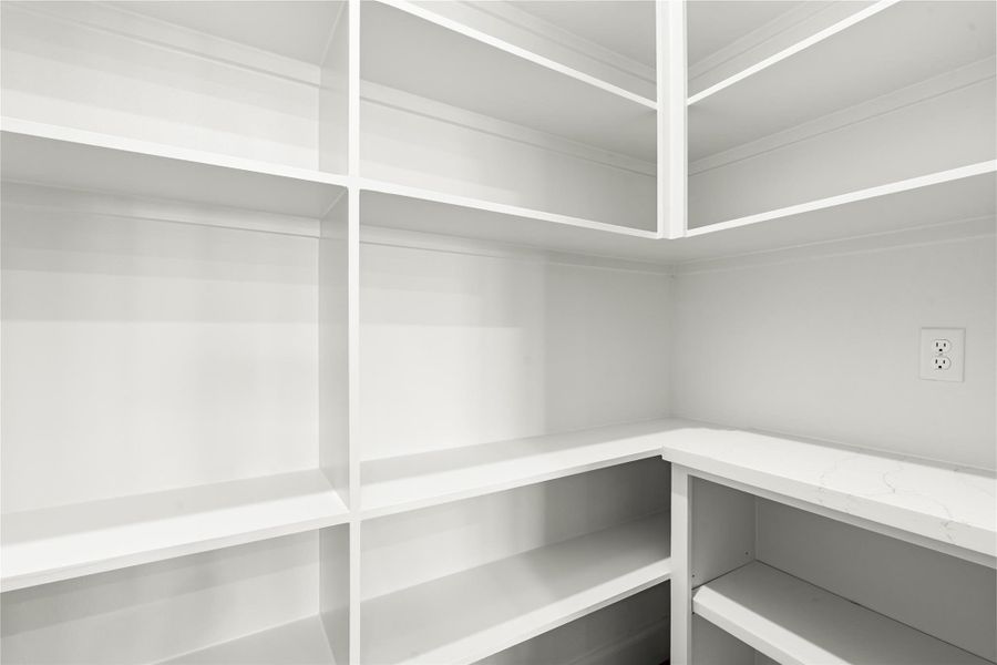 Spacious walk-in pantry featuring built-in shelves and a quartz countertop, complemented by a convenient electrical outlet for espresso machines or small appliances.