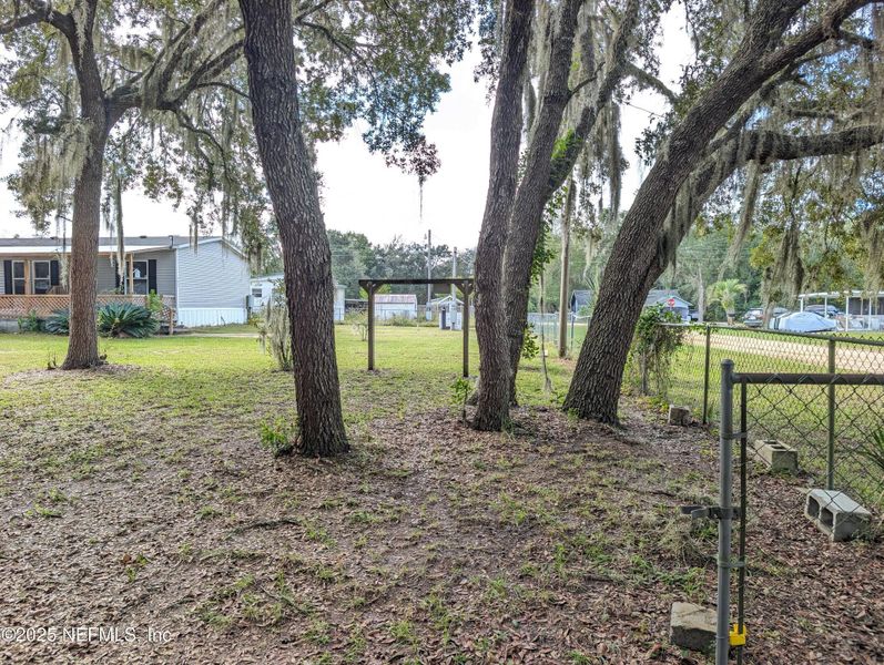 Natural landscape and outdoor views near  in Interlachen (Image 20).