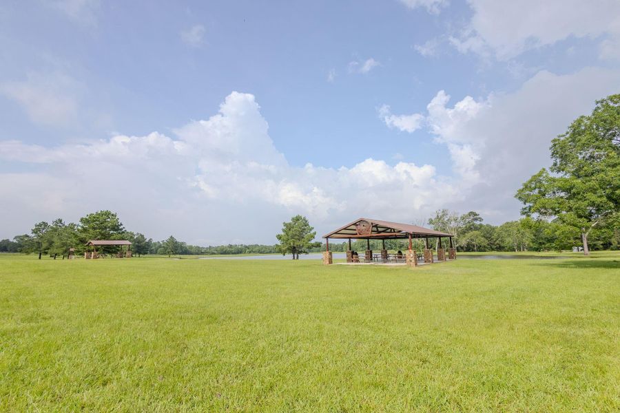 Natural landscape and outdoor views near in Willis (Image 40). Natural landscape and outdoor views near in Willis (Image 40).