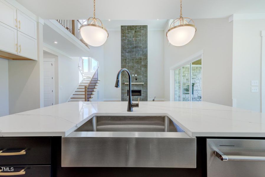 Theodore C_Kitchen9_Drees (1)