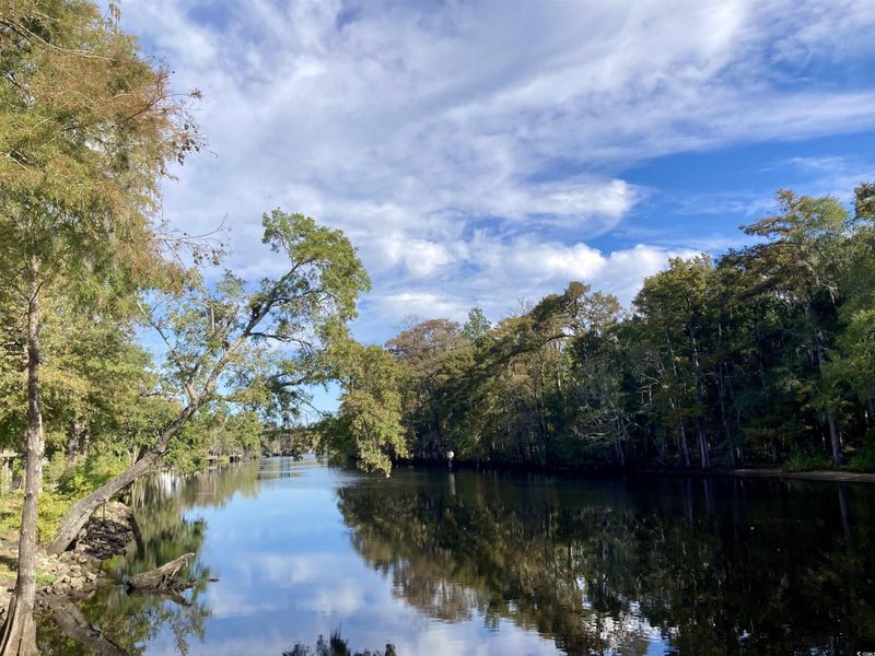 Water view featuring a forest